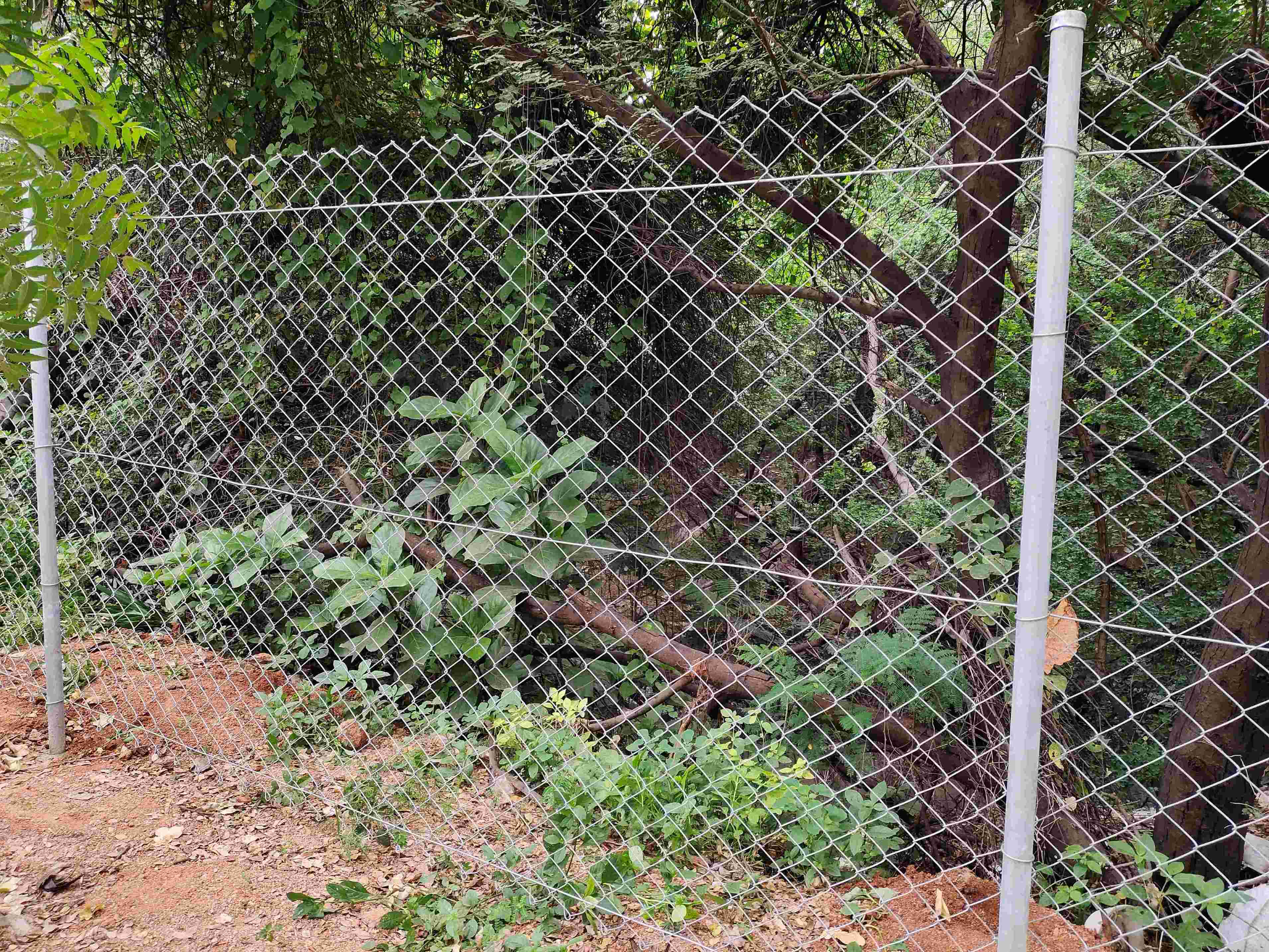 fencing for farm